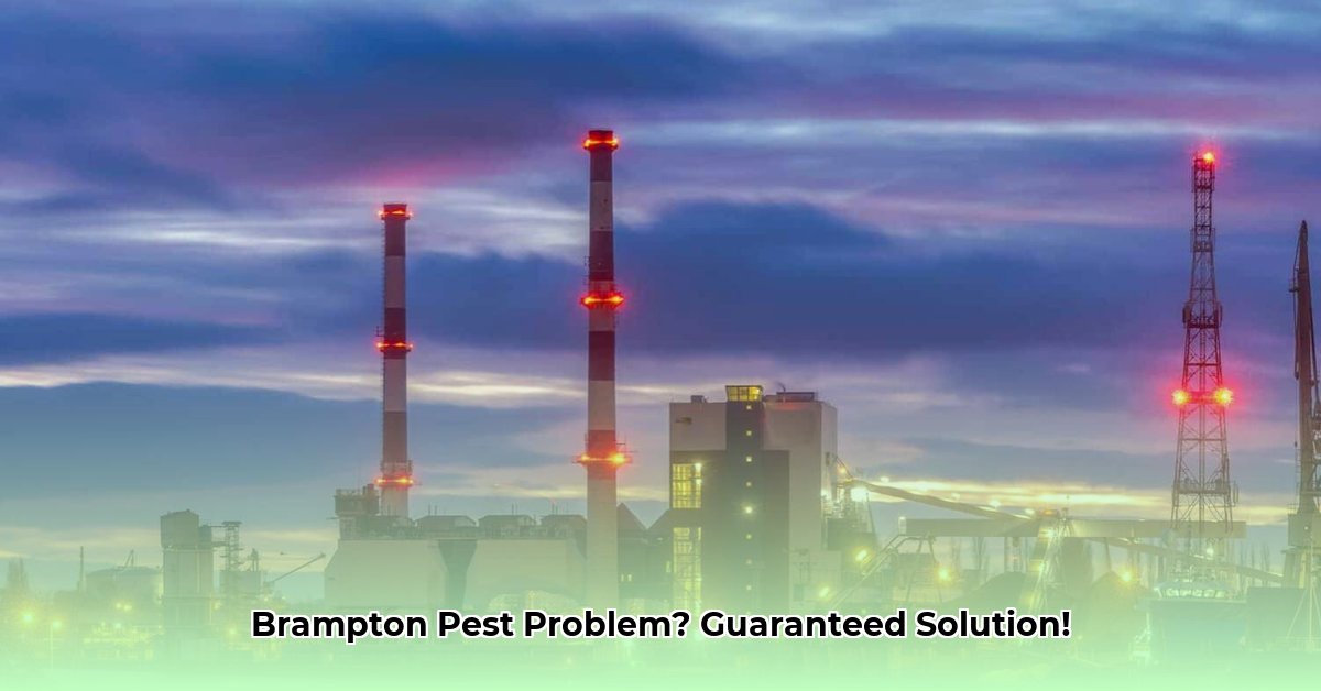 city-of-brampton-pest-control